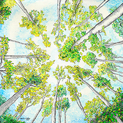 FallingUpward3